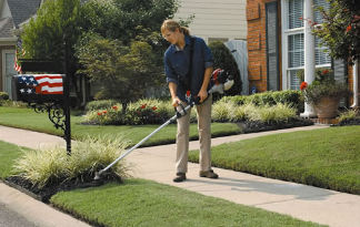 Honda trimmers
