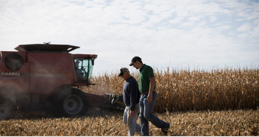 Farmers walking in the field