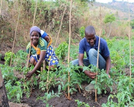 GreenMark Growing  ¦  Growing Hope Globally