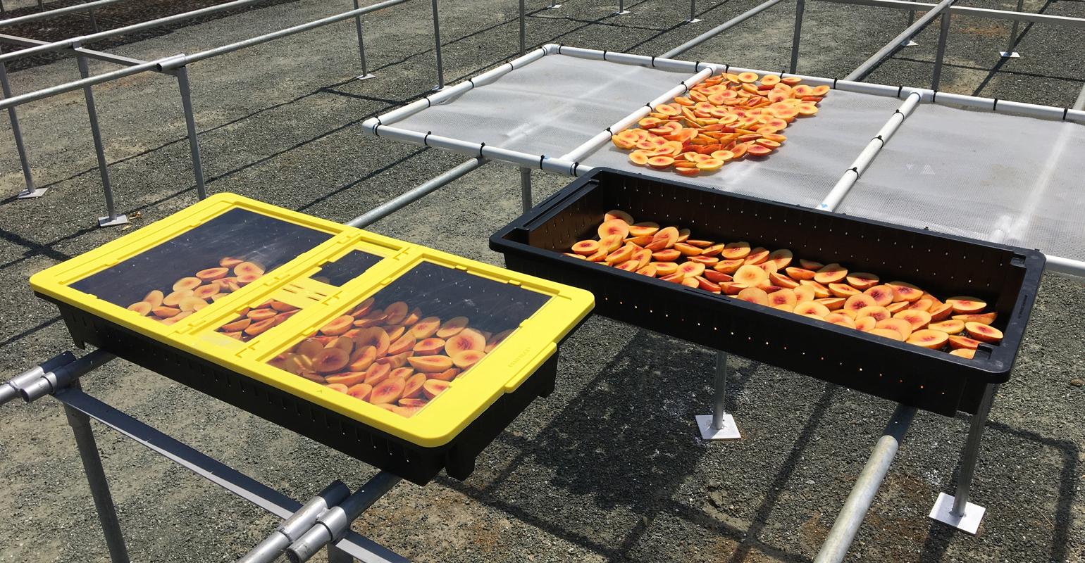 This Solar-Powered Dehydrator Could Help Small Farmers Reduce Food